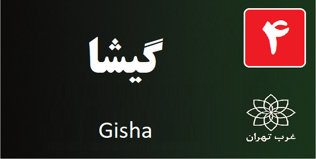 تعمیر پکیج گیشا